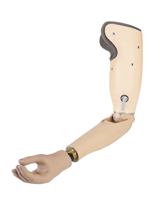 Above Elbow Prosthesis